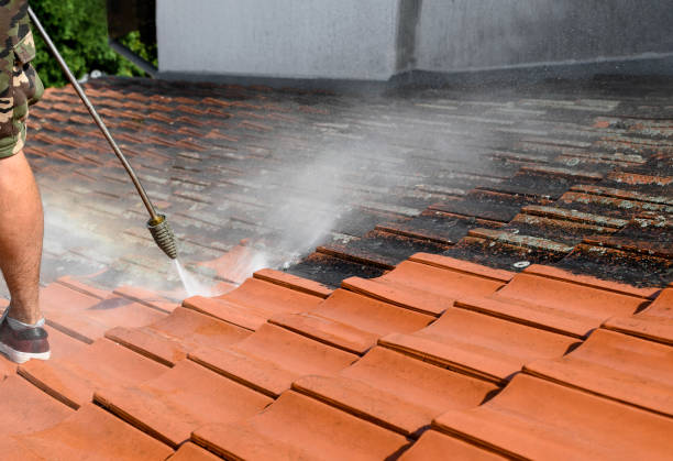 Best Exterior Home Cleaning  in Waterville, OH