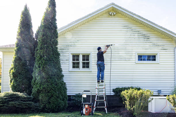 Best Local Pressure Washing Services  in Waterville, OH